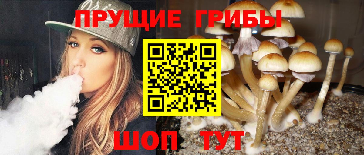 Галлюциногенные грибы прущие грибы  Вход с VPN  Псилоцибиновые грибы Psilocybe  Можайск 